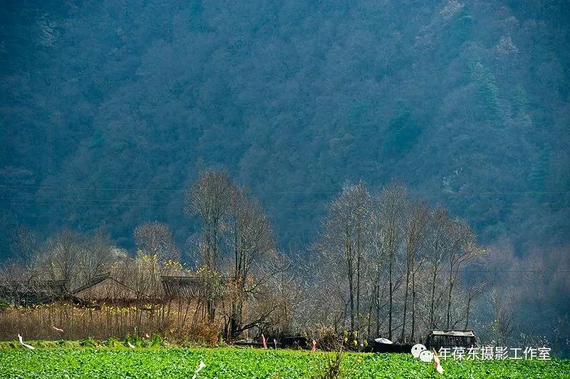 几年后有一种邀约叫：千岛为伴，鱼酒相随，我在天水曲溪等你