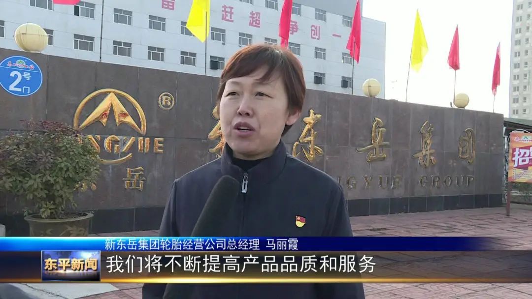 新东岳轮胎集团有限公司,新东岳轮胎项目