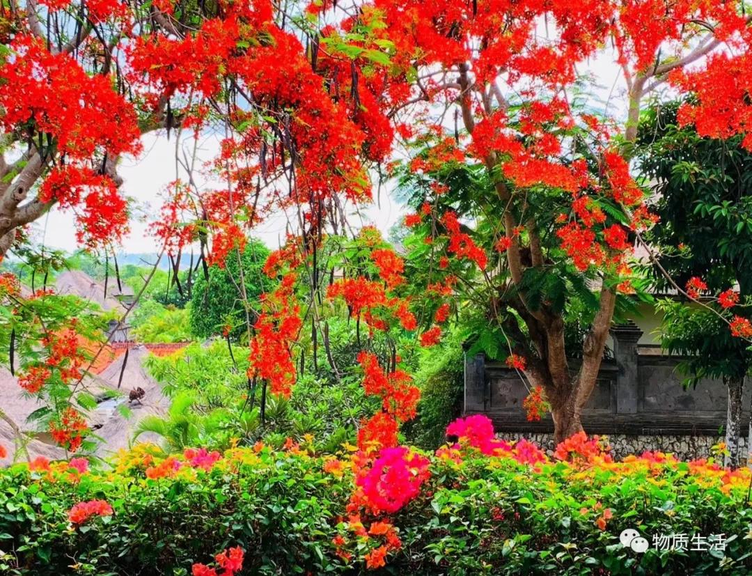 巴厘岛四季如夏吗,阳光明媚的巴厘岛