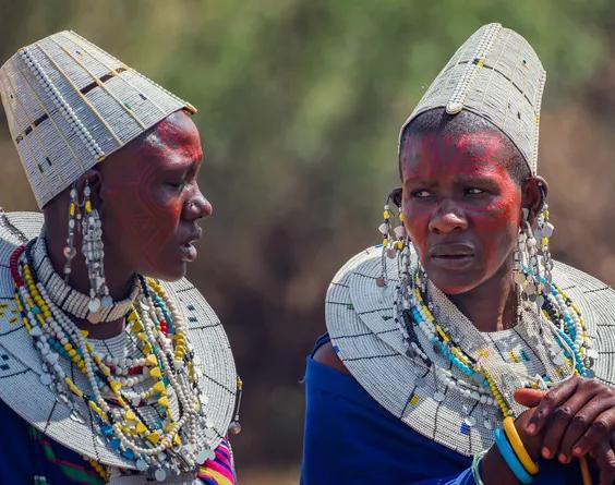 坦桑尼亚之旅,坦桑尼亚东非草原