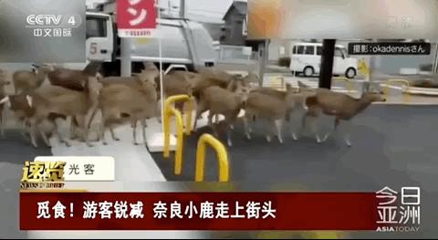 疫情过后有多少人没工作了,疫情还没结束却被辞退了