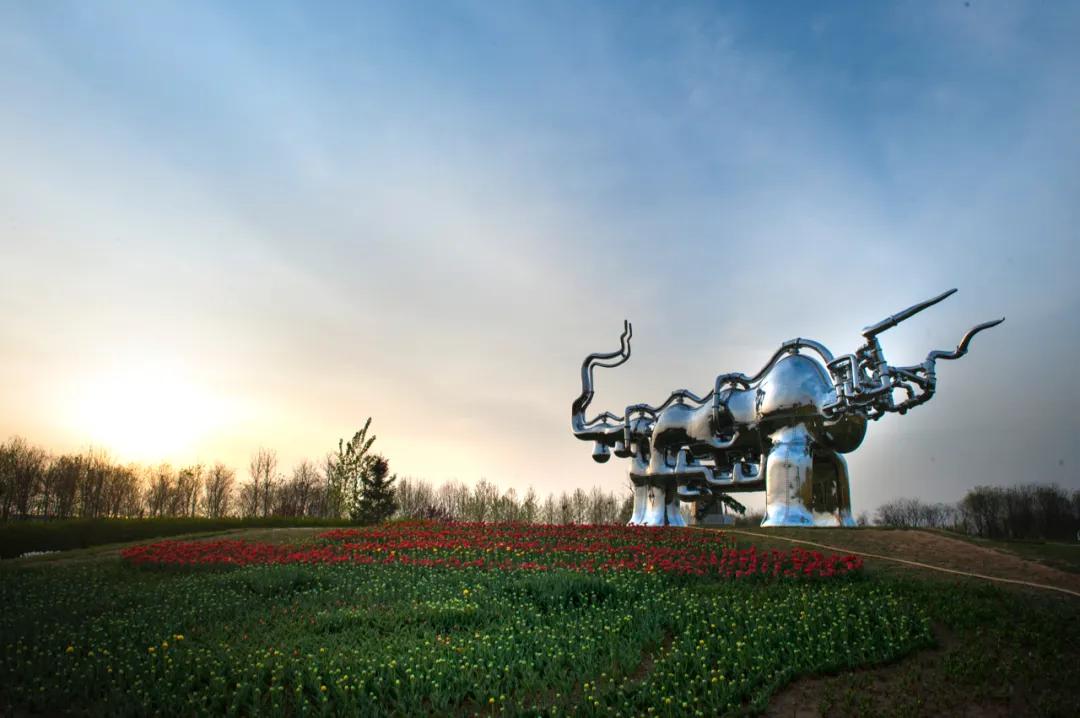 陈文令麦道夫最新信息 (陈文令对麦道夫的评价)