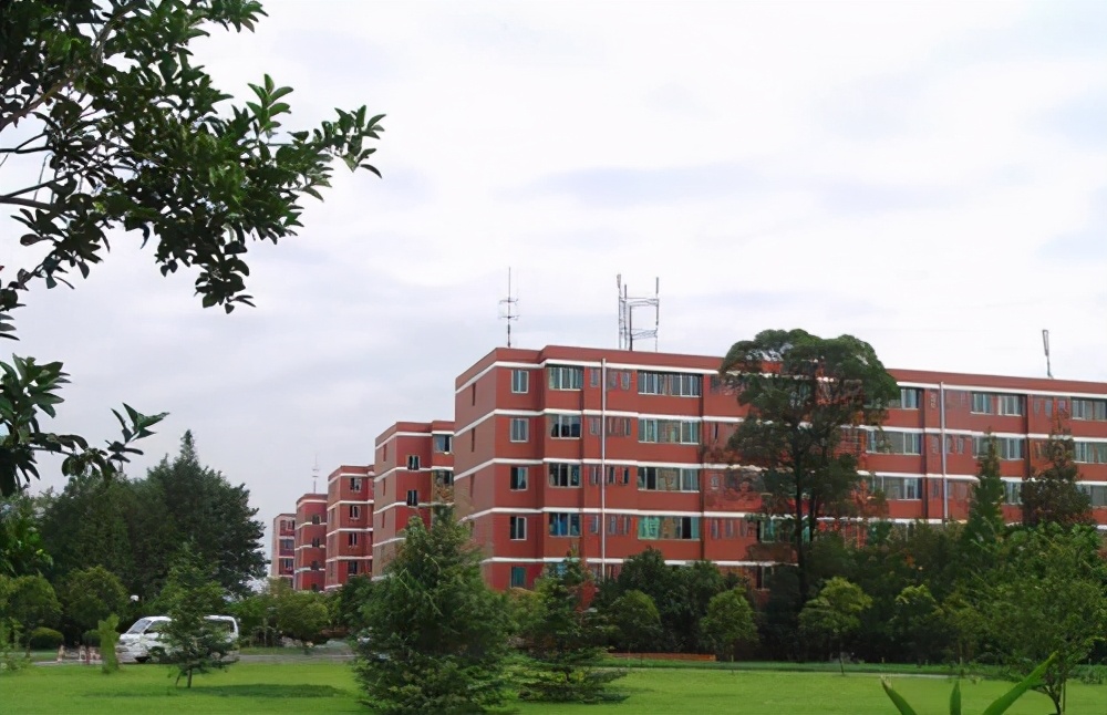 大学生考国二有什么用,计算机专业考国二的证