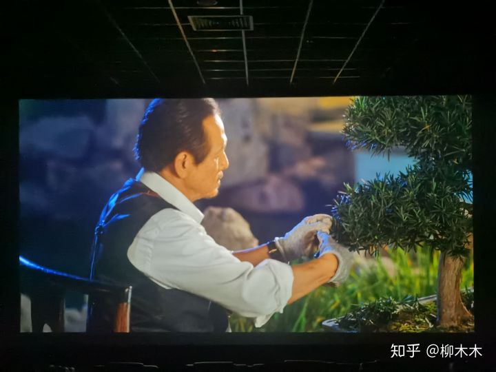 喜宝电影观后感,电影喜宝中有哪些槽点知乎