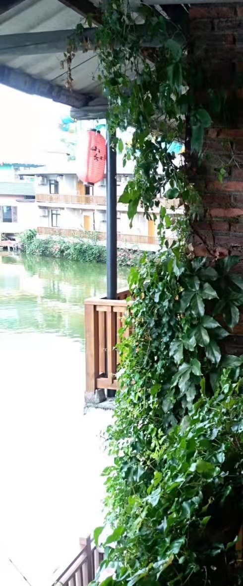 大隐隐于市。在最繁忙的国际大都市,观澜山水田园,别有情趣