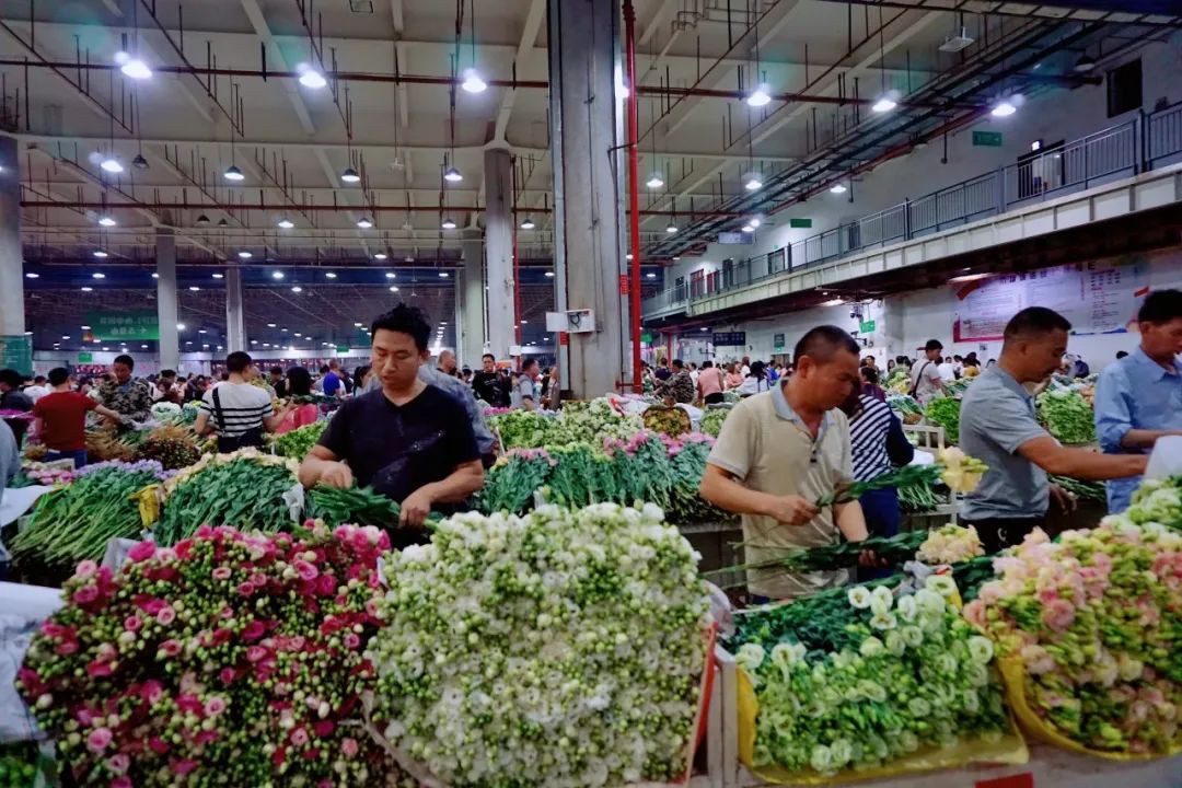 哪里鲜花最多最便宜,苏州市最大鲜花批发市场