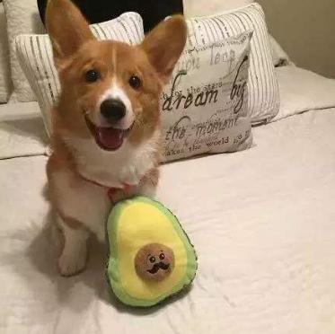 这五种水果有毒你吃了吗,这5种人要慎重吃香蕉