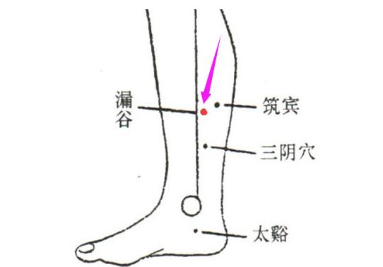 按摩脾经的特效穴位,经络不通怎样通膀胱经和肾经脾经