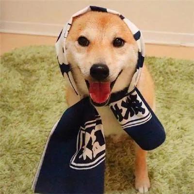 致死率接近100%！一旦发作从不失手！这样的狂犬病你不怕吗？