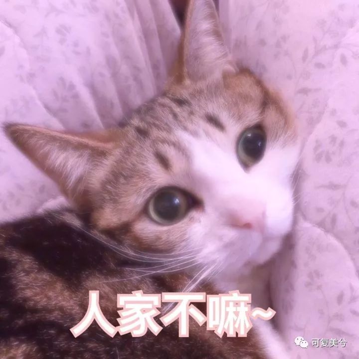 整形医院薅羊毛,整形医院的获客之道