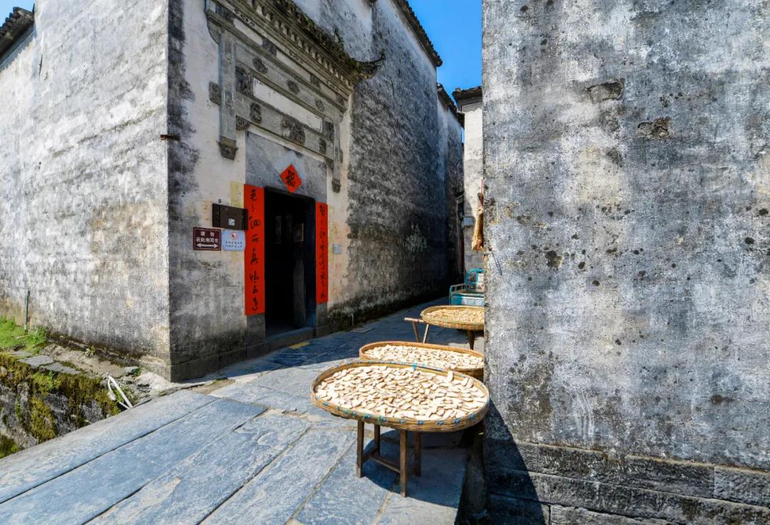 鍗冪櫨骞存潵缁忓吀鍙よ瘲,鍗冪櫨骞存潵鍙よ瘲