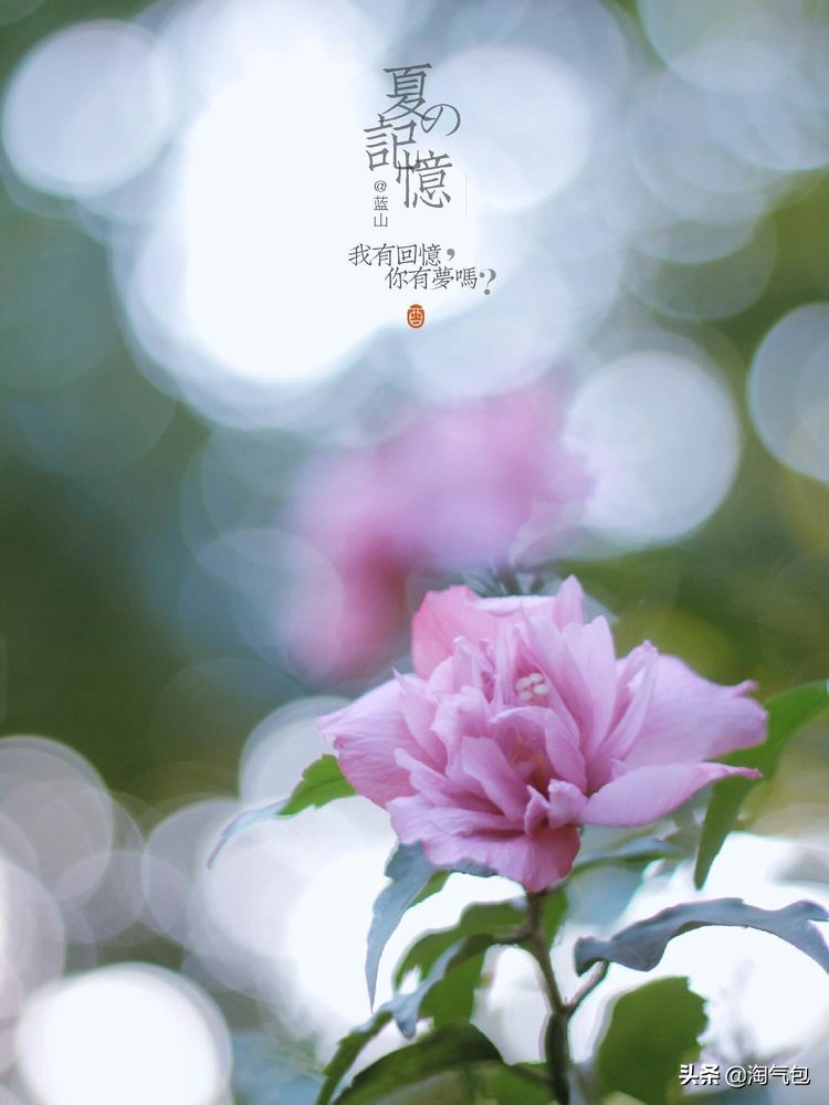 秋分愿生活恰如其分,人生恰如秋分生活恰如其分