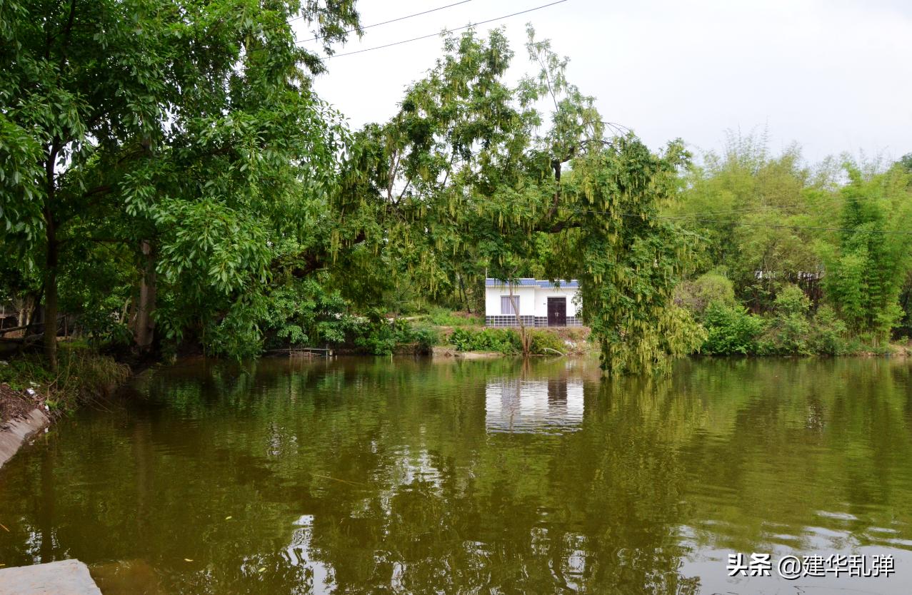 仁寿石咀的小石堰,浓浓的乡愁理不乱也剪不断