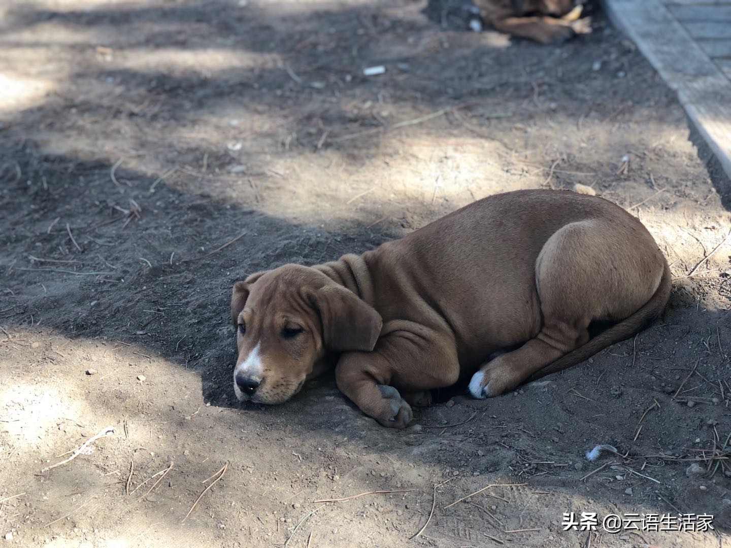 远走土耳其，我在星月之国上天入海（三）
