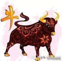 生肖牛倔强,十二生肖牛傻不傻