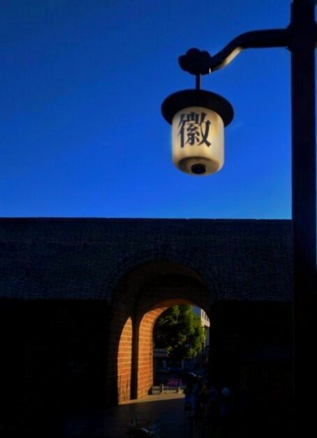 8月向日葵云海(徽州百工、黟县的朋友圈、瓷都景德镇)采风