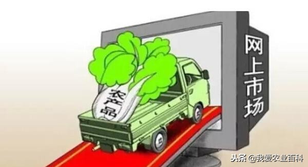 我们的农产品怎么在互联网售卖