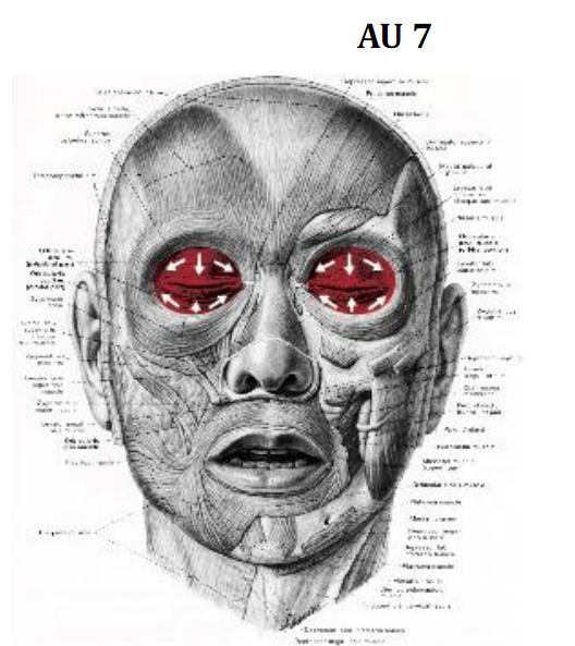 facs的全称是什么,facs面部编码系统