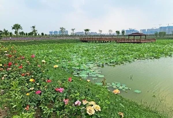 津南，一做来了就不想走的城