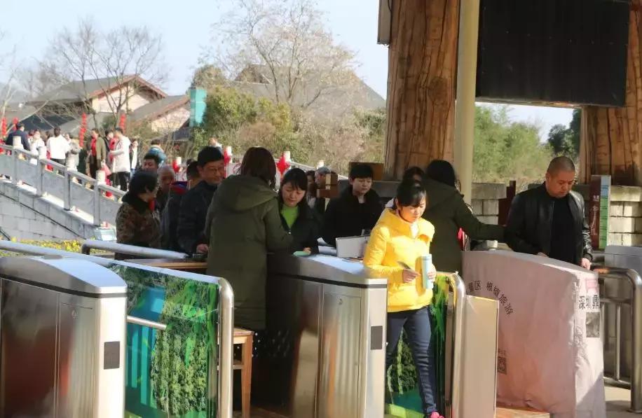 今天，我在宜兴竹海，过传统春节，沾福气满满！