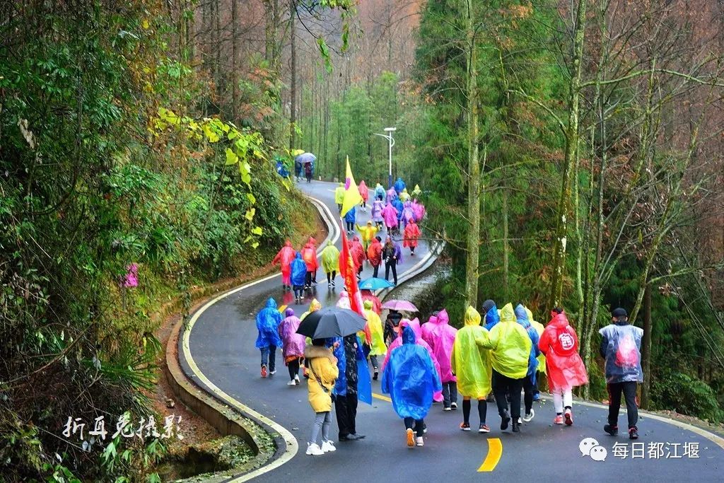 赵公山大熊猫国家生态公园,赵公山大熊猫生态公园