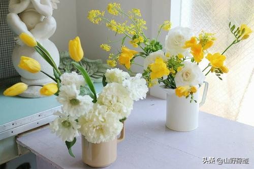 遇到花掉叶黄不如试试这一物，只需加一勺，会有意想不到的效果