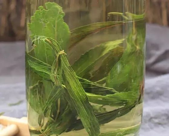 不吃糖抗氧化吗,不吃糖抗老化