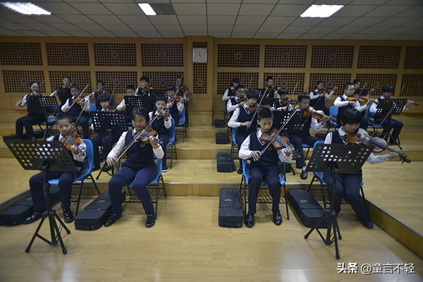 24年幼升小报名怎么没有选学校,幼升小择校校区有哪些
