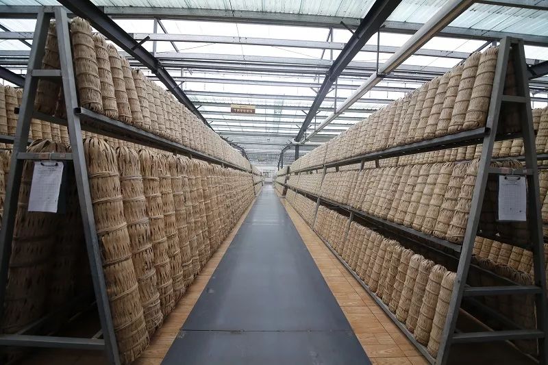 鑼楄竟璇磋尪,鑼楄竟