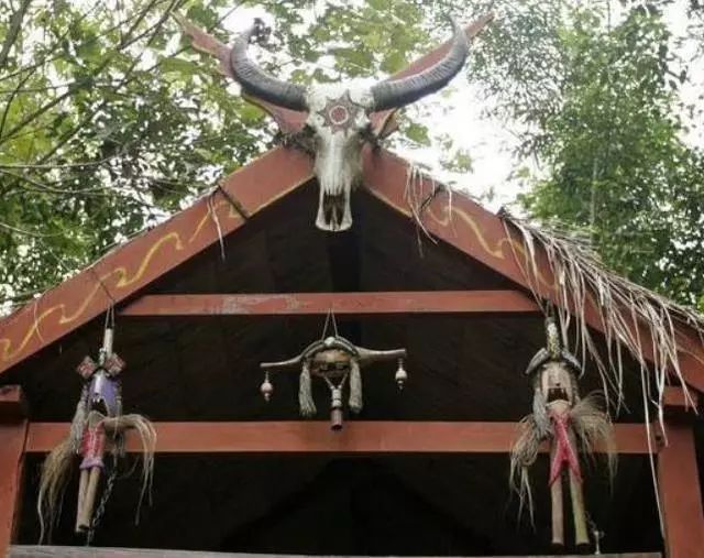 云南有个奇怪的部落,云南最奇葩的部落是什么