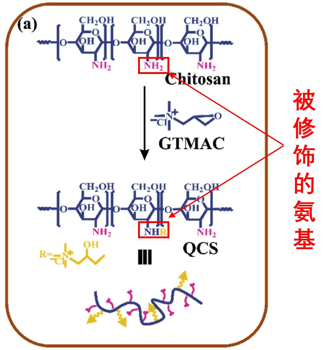 美食→生物材料|小龙虾和螃蟹→伤口敷料