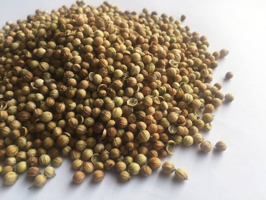 种香菜的正确方法阳台,阳台种植香菜的方法和技巧