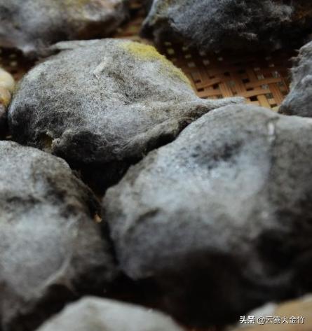 家庭自酿黄豆酱(酱油)-感受食品发酵的神奇