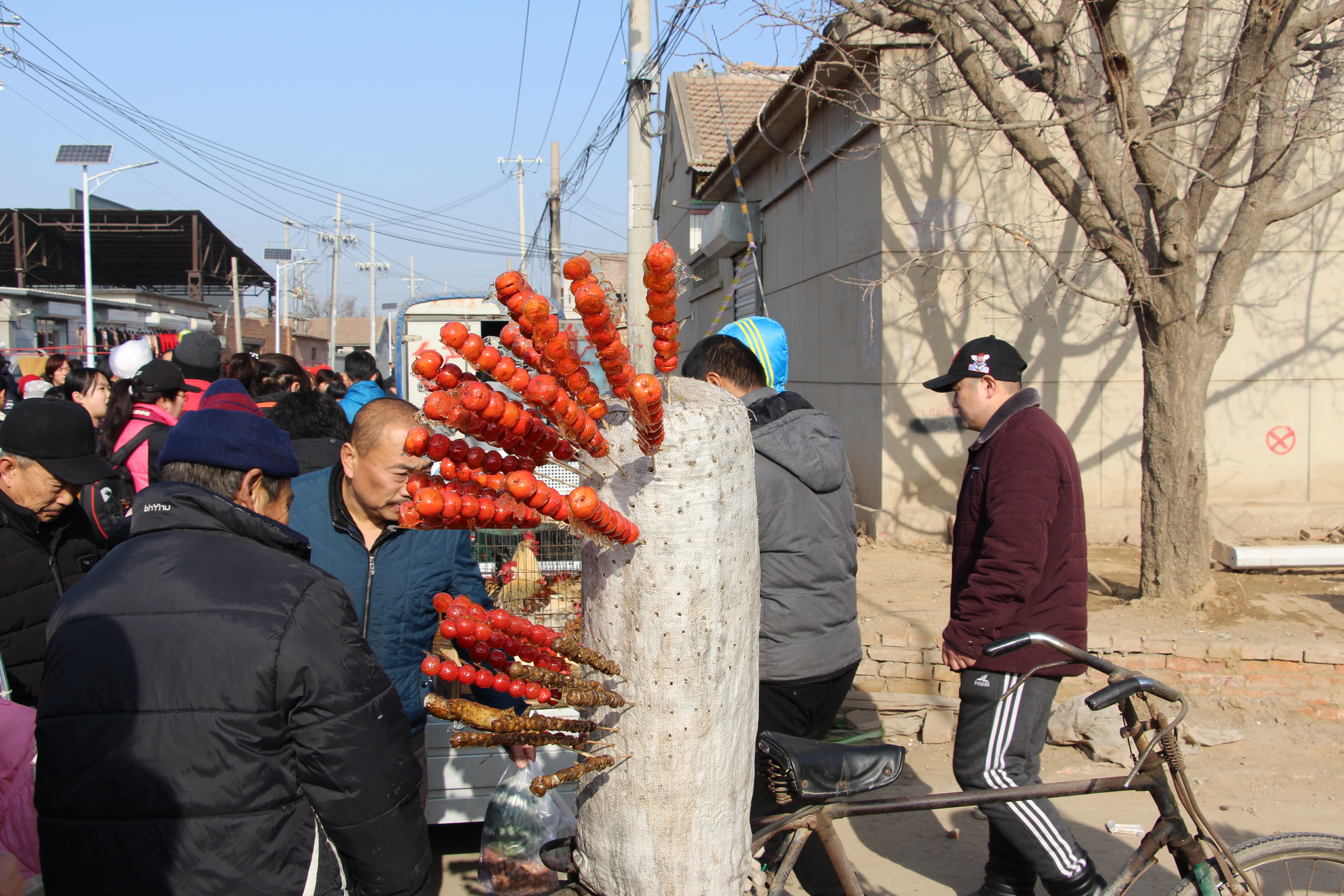 天津市武清区泗村店镇太子务村赶大集
