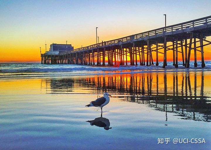 加州大学欧文分校是什么样的？全美最著名的网红大学之一了解一下