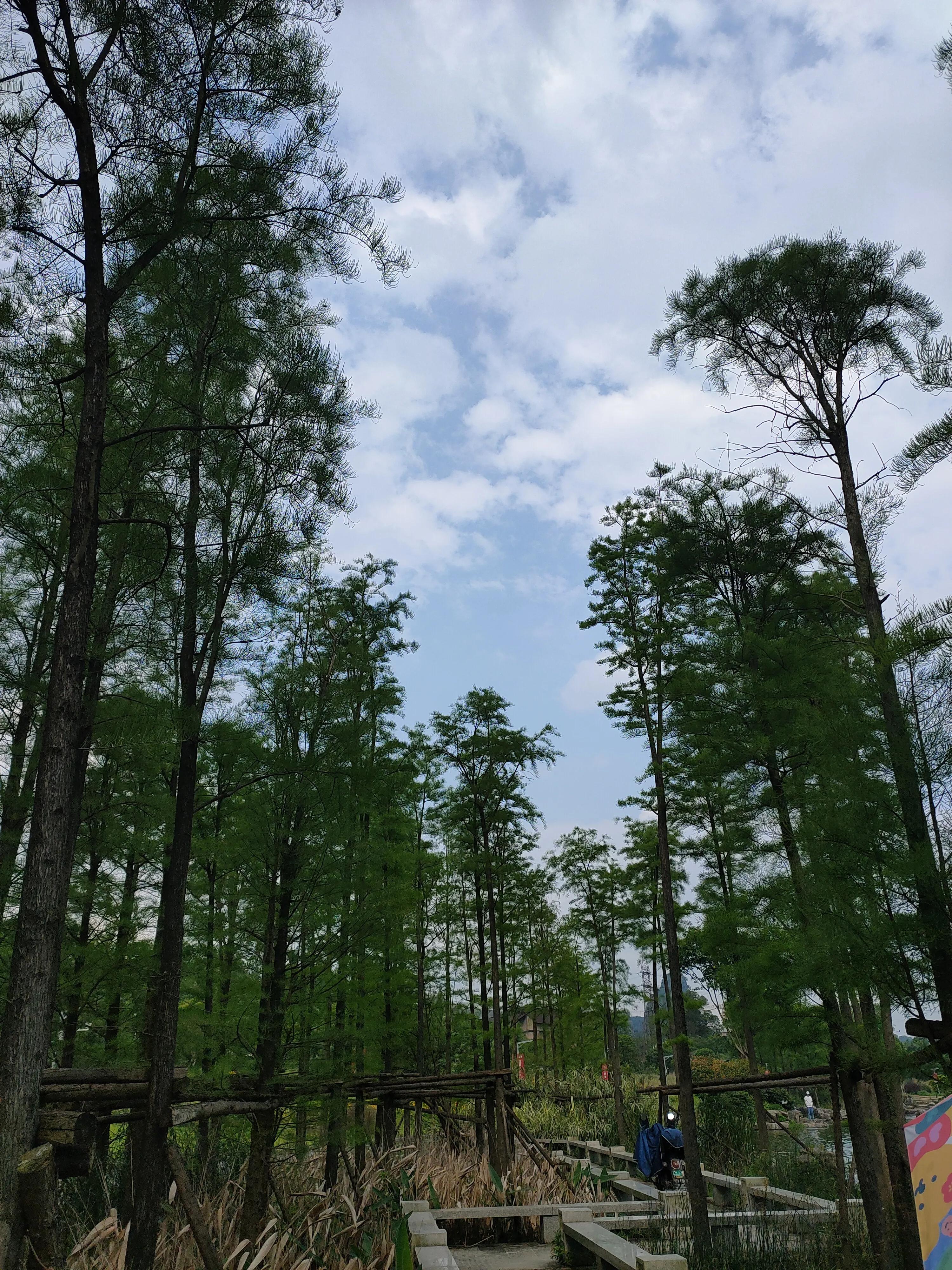 我不想异地恋了,我的异地恋