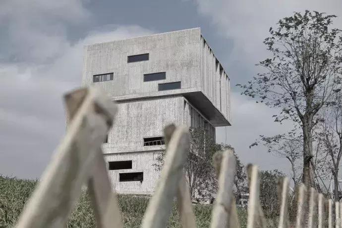 最美银杏秋景自驾攻略,杭州银杏树旅游攻略