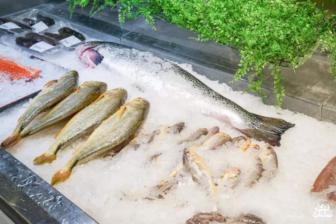 魔都最大的超市,魔都必逛进口超市