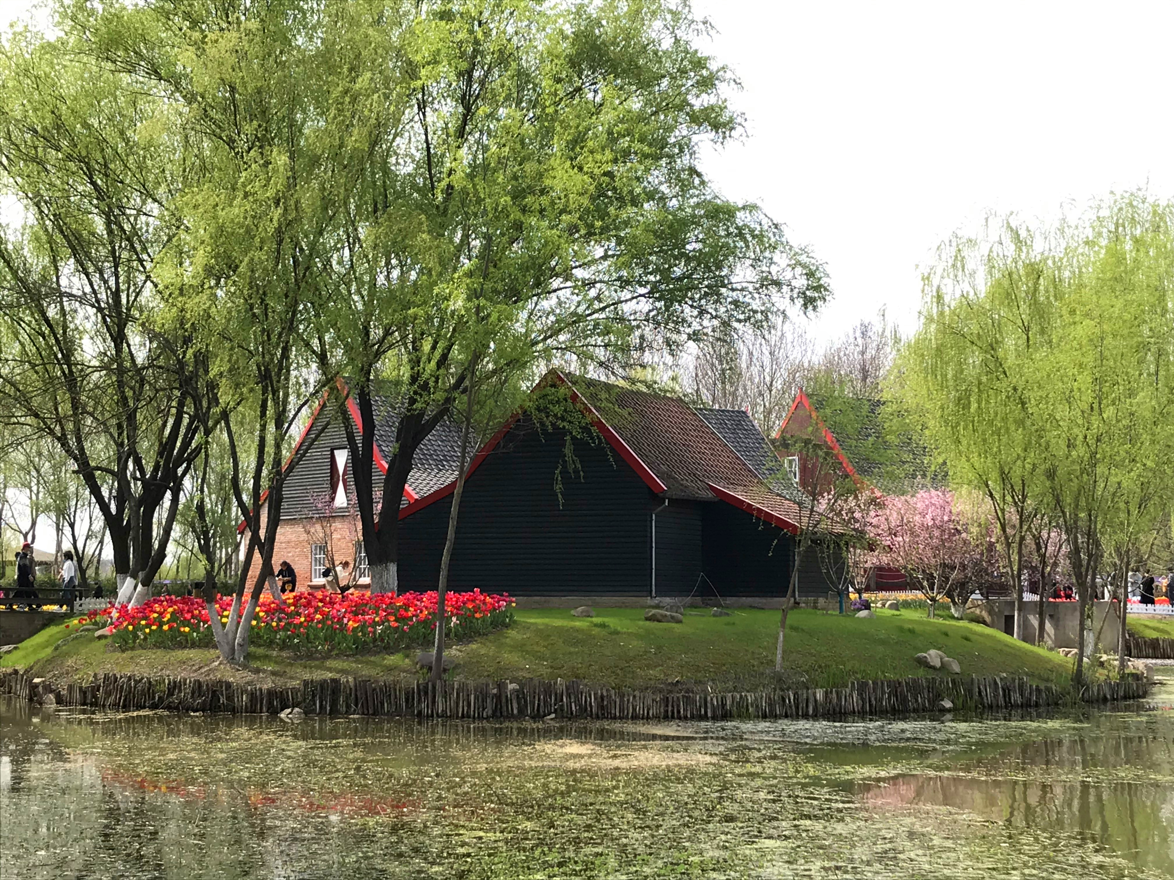 荷兰风情花园,南京绿博园的美丽