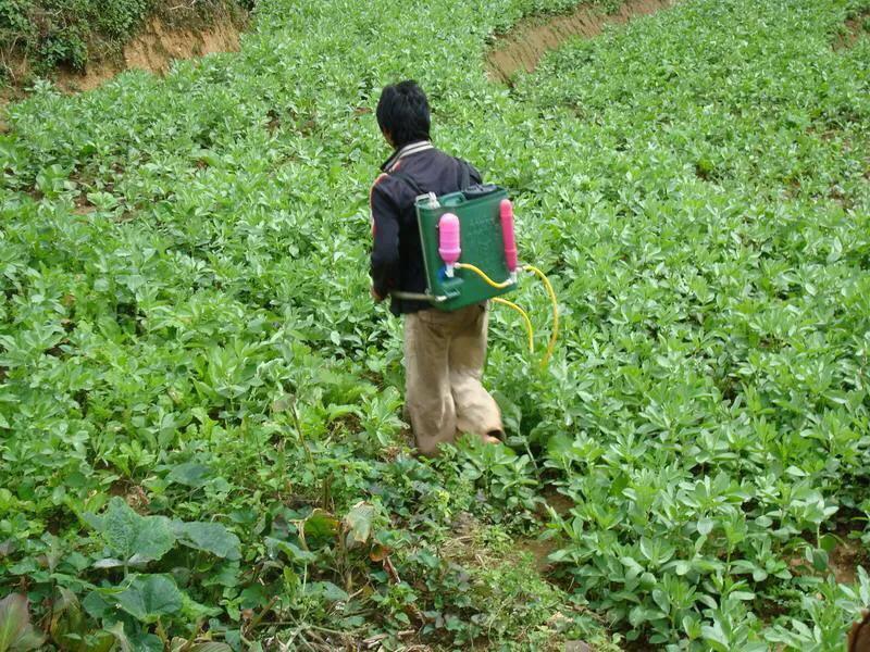 植保无人机打什么药最好,无人机打药对农作物的好处