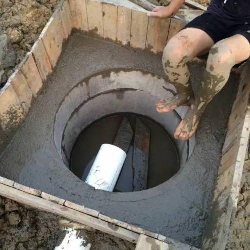 池塘水体净化,池塘净化鱼类