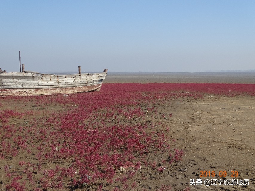 营口黄金海岸沙滩,营口北海海滩攻略