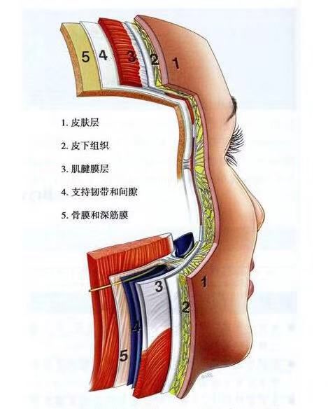 打玻尿酸后吃什么,口服玻尿酸胶原蛋白有美容效果吗