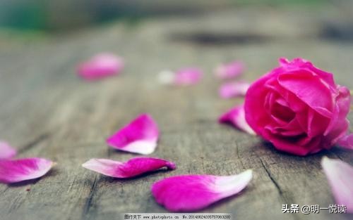 2019新起点征程,新的一年一切向前看