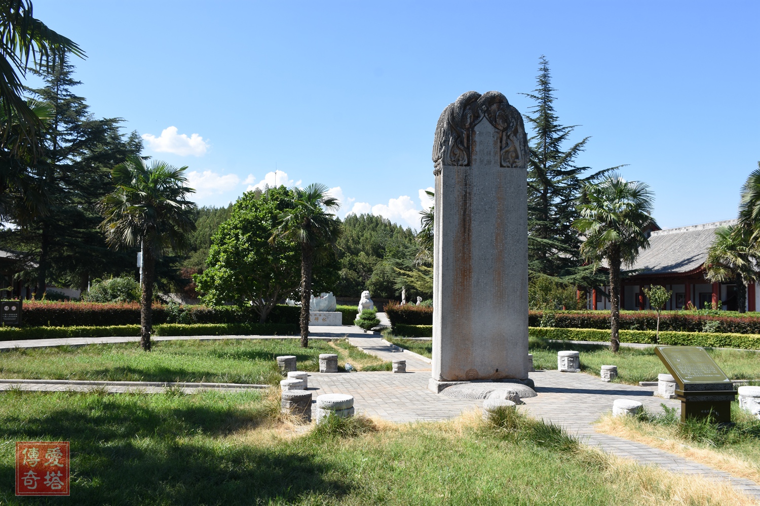 2020年经典电视剧有哪些,2020年将要播出的电视剧有哪些