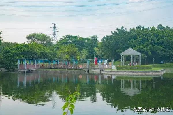 深圳完全免费的十大景点,深圳10大免费景点上集