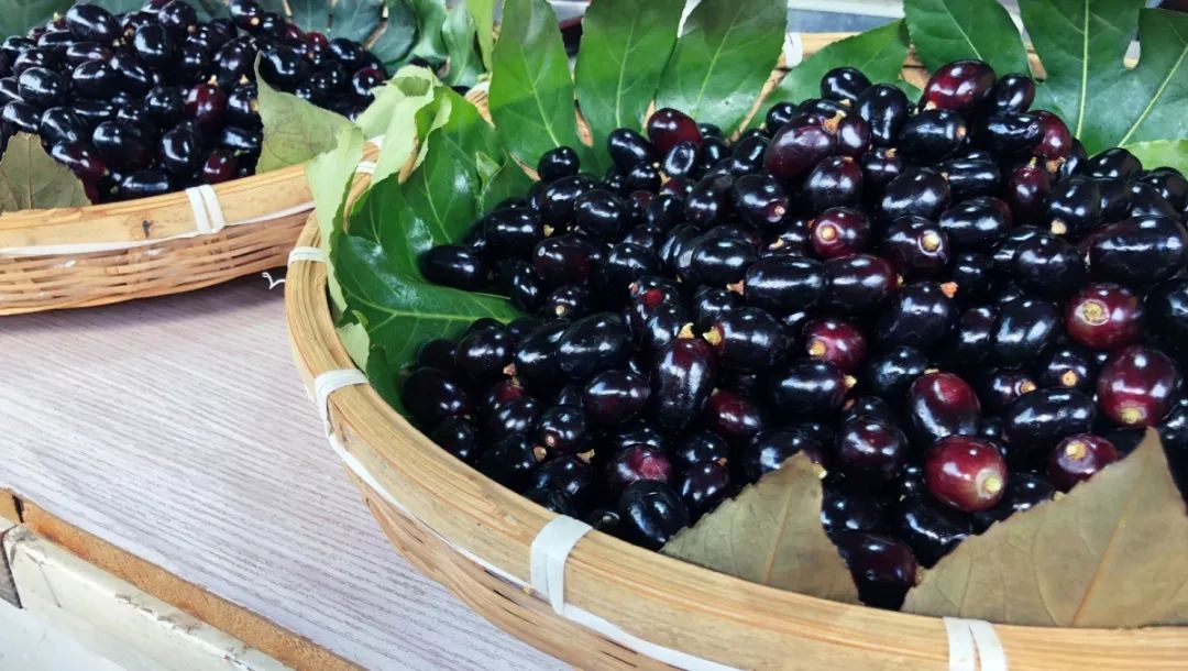 浦东人家门口的“小苏州”，低调美了800年！应该让全上海都知道