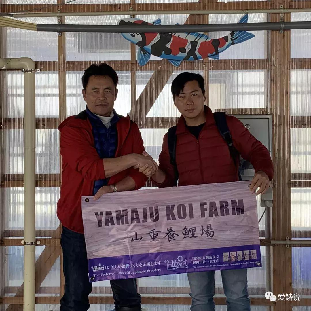 全场八折优惠活动正在火爆进行中,锦鲤网上商城