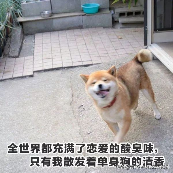 90后爱分期？他们比你还会过日子