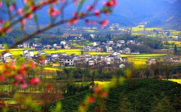 古诗最是一年春好处,表达一年收获感慨的诗句